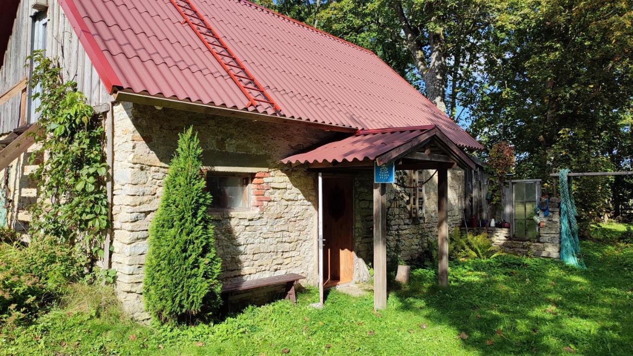 Viini Puhkemaja Konuk evi Mustjala Dış mekan fotoğraf