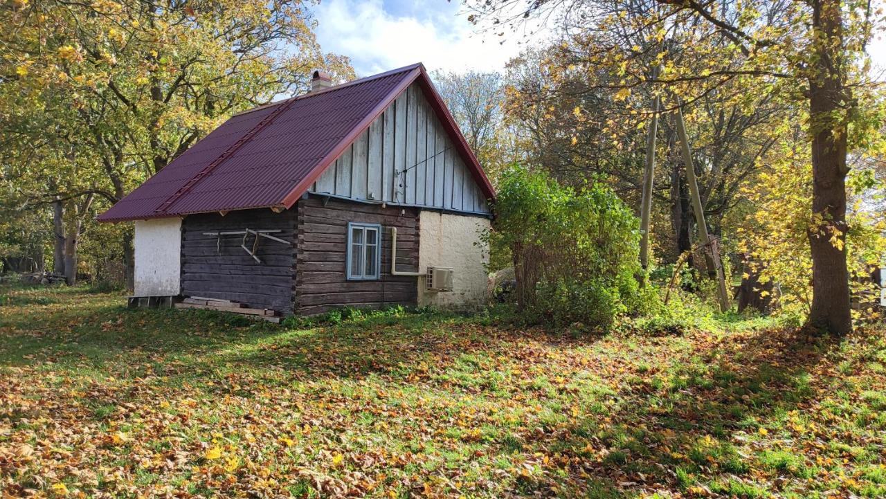 Viini Puhkemaja Konuk evi Mustjala Dış mekan fotoğraf
