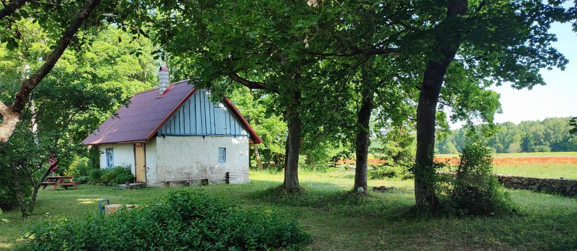 Viini Puhkemaja Konuk evi Mustjala Dış mekan fotoğraf